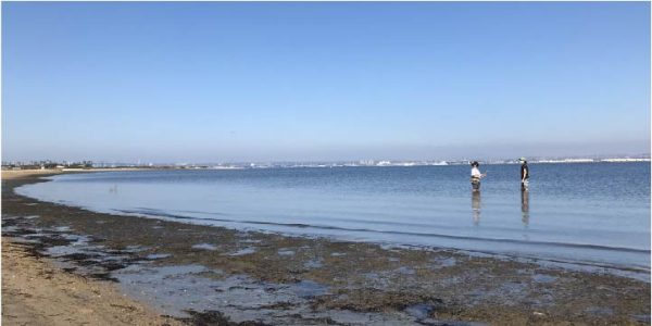 Assessing potential seismic hazard in San Diego Bay